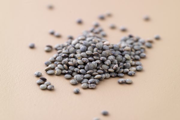 LENTILLES LENTILLES